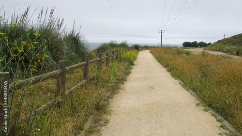 path in the field