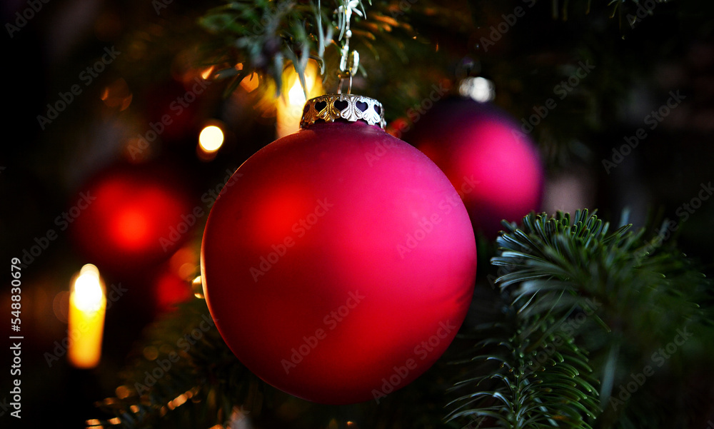 christmas red balls on fir branches, festive winter season background