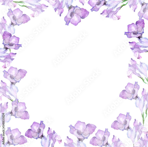 Watercolor illustration,square frame botanical fuchsia, lily. purple flower