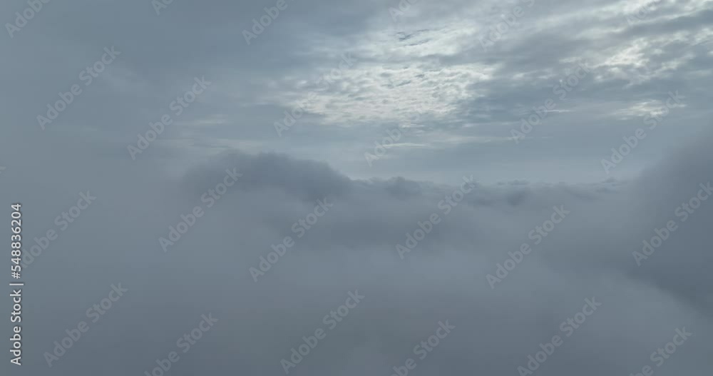 Rainy weather in mountains. Misty fog blowing over pine tree forest. Aerial footage of spruce forest trees on the mountain hills at misty day. Morning fog at beautiful forest. Rainy weather in mountains. Misty fog blowing over pine tree forest. Aerial footage of spruce forest trees on the mountain hills at misty day. Morning fog at beautiful forest.