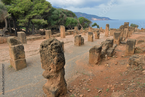 ARCHEOLOGICAL SITE OF TIPAZA IN ALGERIA. ROMAN AND EARLY CHRISTIAN RUINS photo