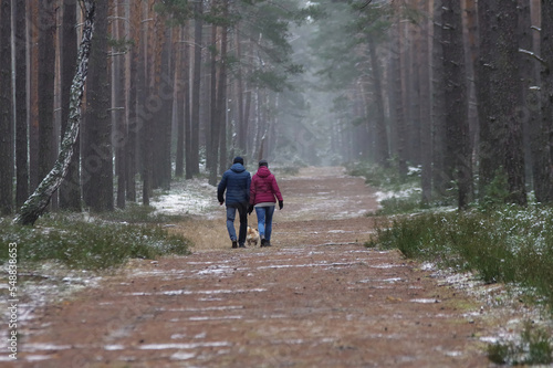 People in love on a walk in the winter forest.