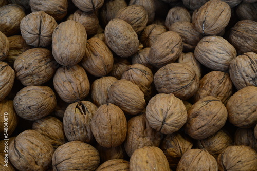 Group of Shelled Walnuts