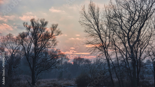 Zachód słońca w mroźny i mglisty listopadowy dzień na obrzeżach Krakowa