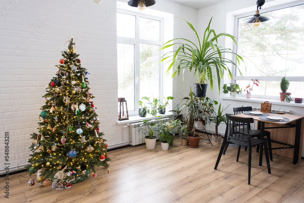 Christmas tree in the white interior of a house with large windows. Glowing fairy lights garlands interior decoration of the studio room. Potted plants in the home Christmas tree in the white interior of a house with large windows. Glowing fairy lights garlands interior decoration of the studio room. Potted plants in the home