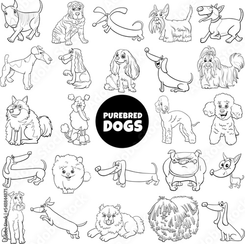 black and white cartoon purebred dogs and puppies characters set