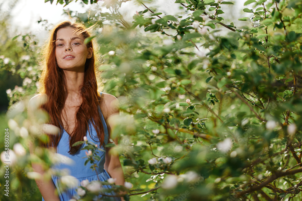 Woman with flying hair in spring stands in the orchard of a blooming apple tree and smiling with teeth stroking herself with her hands and embracing, in a blue dress, happiness sunset Woman with flying hair in spring stands in the orchard of a blooming apple tree and smiling with teeth stroking herself with her hands and embracing, in a blue dress, happiness sunset