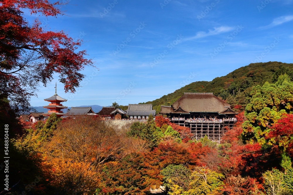 Fototapeta premium Kyoto Japan - Kiyomizu Dera Temple
