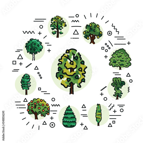Trees web banner. Infographics with linear icons