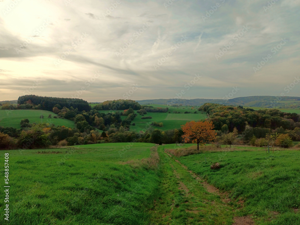 Obraz premium Blick ins Nordpfälzer Bergland und das Obere Glantal vom Wanderweg Traumtour Diamant bei Brücken in der Verbandsgemeinde Oberes Glantal im Landkreis Kusel, Rheinland-Pfalz.