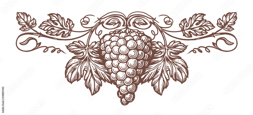 Drawing Outline Sketch Of Fruit Bunch Of Grape Leaves PNG Images  PSD Free  Download  Pikbest
