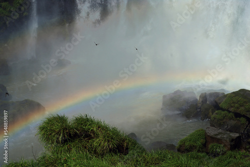 Pajaros volando en las cataratas del Iguazú