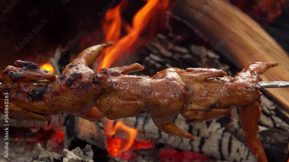 Delicious fresh quail carcasses on the skewer are frying above the open fire Delicious fresh quail carcasses on the skewer are frying above the open fire