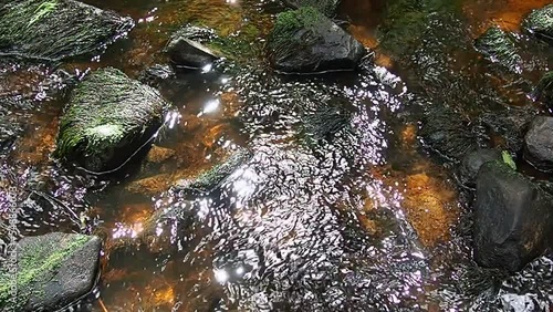 Rocky forest stream in Orzega, Karelia, with ferruginous brown clear water. Water runs and gurgles. slow motion. Reflections in the water and drops. Fern shores photo