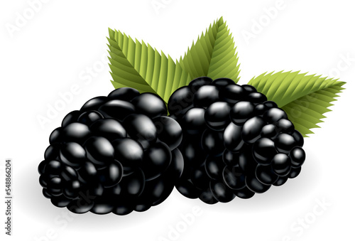 Fresh, sweet and tasty blackberry. Sweet fruit. Forest berry. 3d vector icon. Realistic illustration of eco food isolated on white