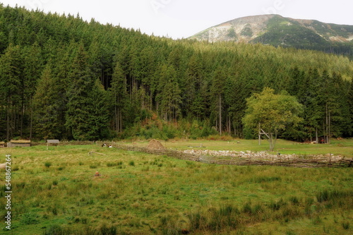 View of the rocky landscape