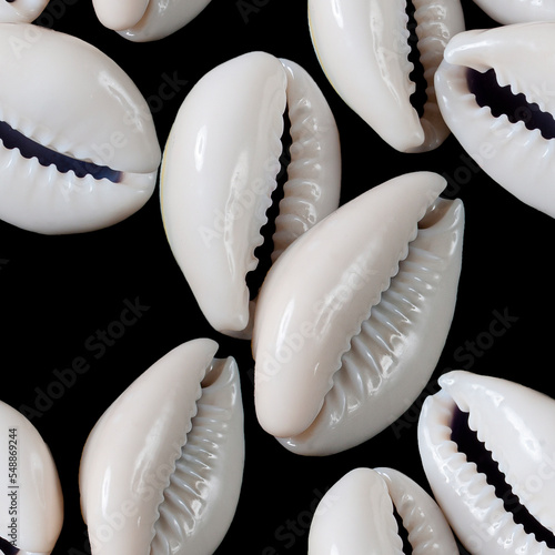 Seamless pattern with cowrie shells on black background