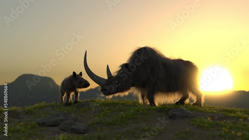 Woolly Rhino in the mountains with her calf photo