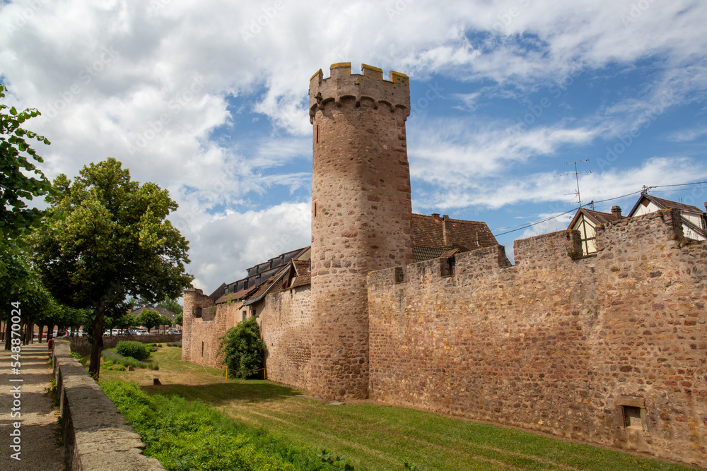 Castle in a village in France in the Alsace area, surrounded by trees