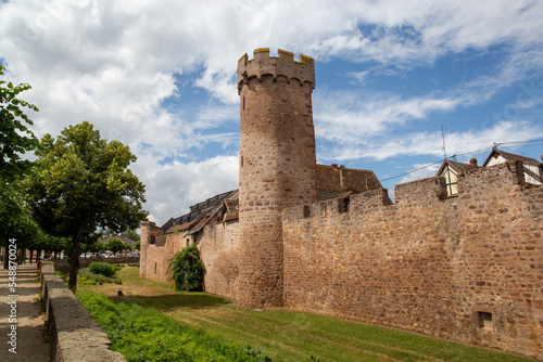 Castle in a village in France in the Alsace area, surrounded by trees