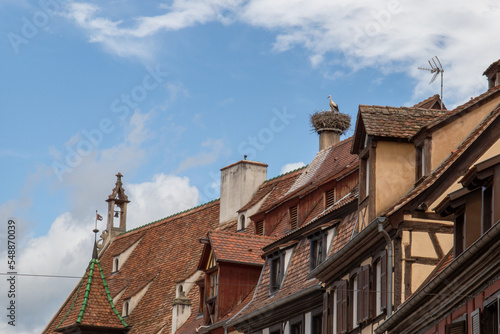 French village in the Alsace area with several Storks in a nest on a roof
