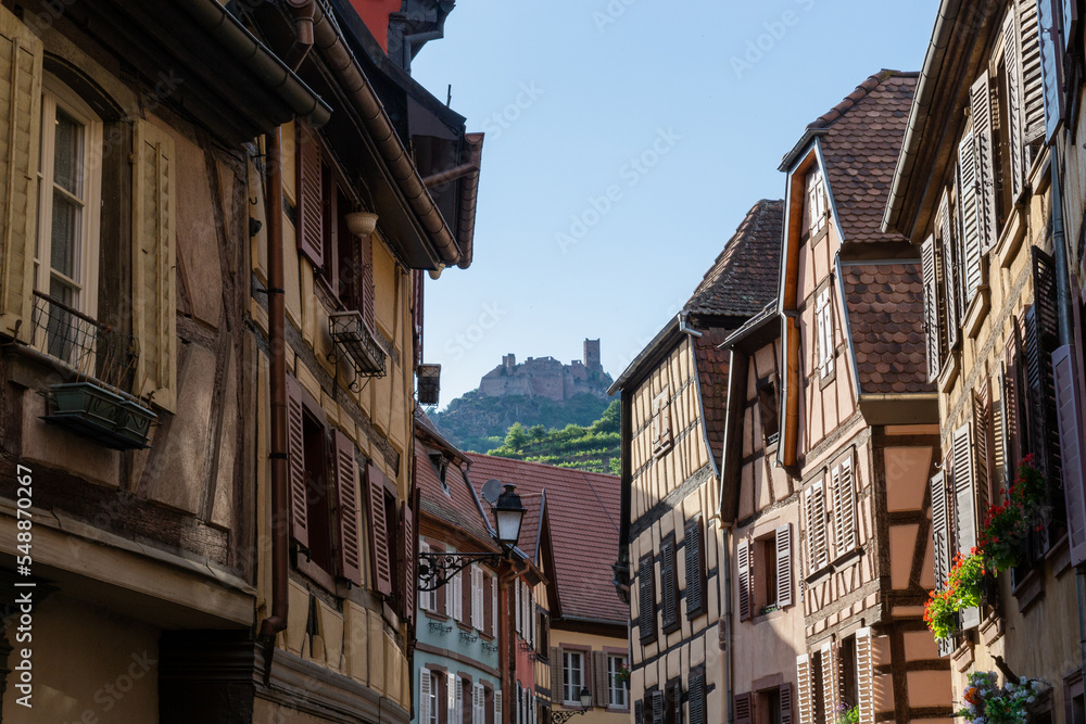 houses of a village in Alsace with a castle in the background and some green mountains.