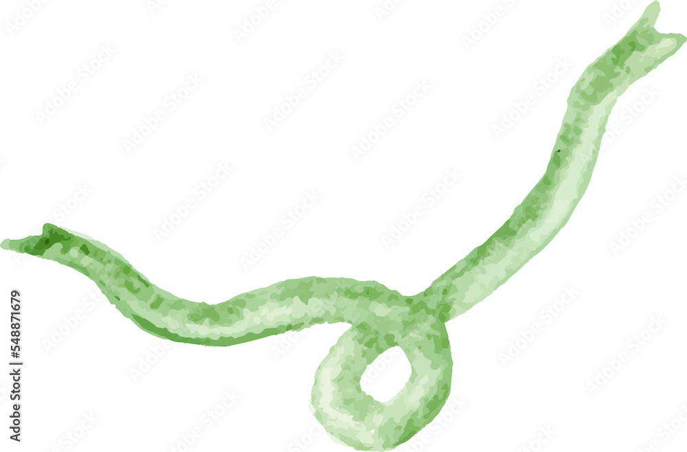 Obraz premium ribbon isolated on white