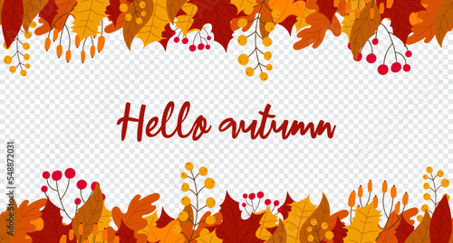 Hello autumn lettering postcard. Background with leaves and berries in the fall. Hello autumn seamless banner with orange and red leaves. Vector illustration