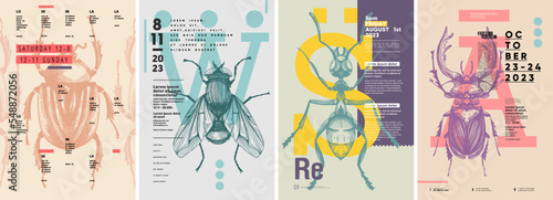 Insects. Beetle, fly, ant, stag beetle. Poster design. Set of vector illustrations. Typography. Vintage pencil sketch. Engraving style. Labels, cover, t-shirt print, painting.