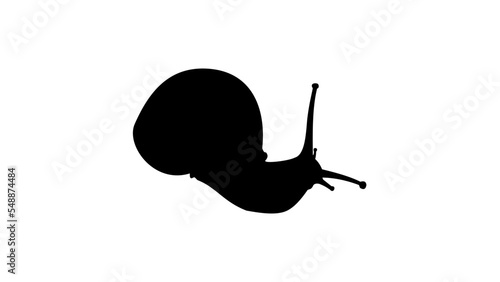 snail silhouette