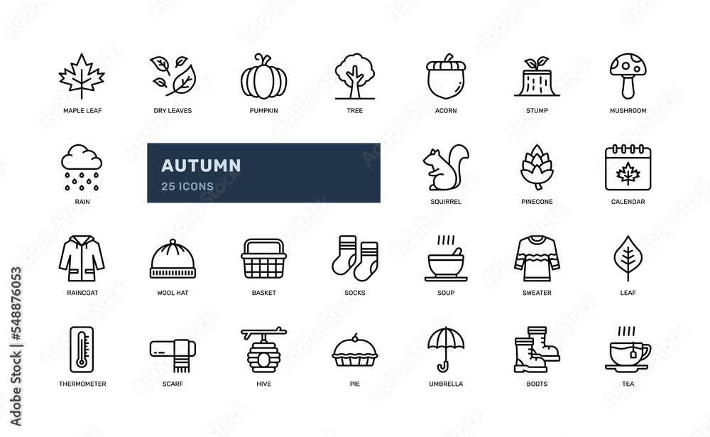 autumn fall season weather garden decorative leaf maple detailed outline icon set. simple vector illustration