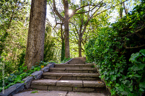 stairs of stone in forest in Mendoza  Argentina.