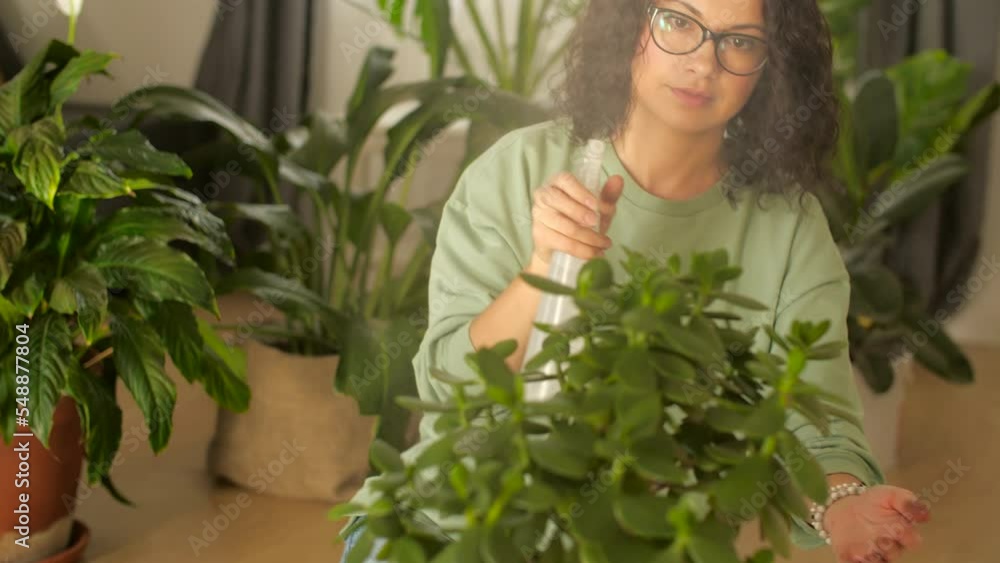 Hobby and interior concept. Young woman taking care of the house plants, gardening Hobby and interior concept. Young woman taking care of the house plants, gardening