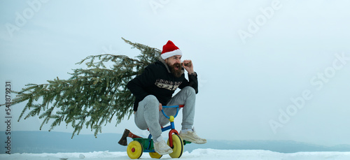 Fotografie, Tablou Crazy winter man on bicycle caring christmas tree