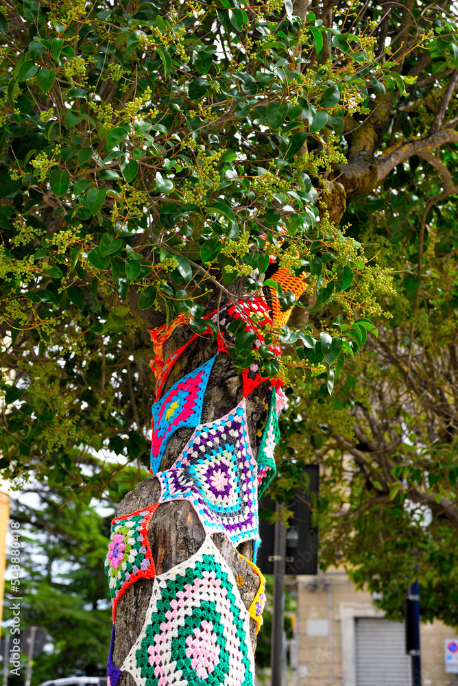 Fototapeta premium colorful crochet doilies on trees in vittorio emanuele square Enna Sicily Italy
