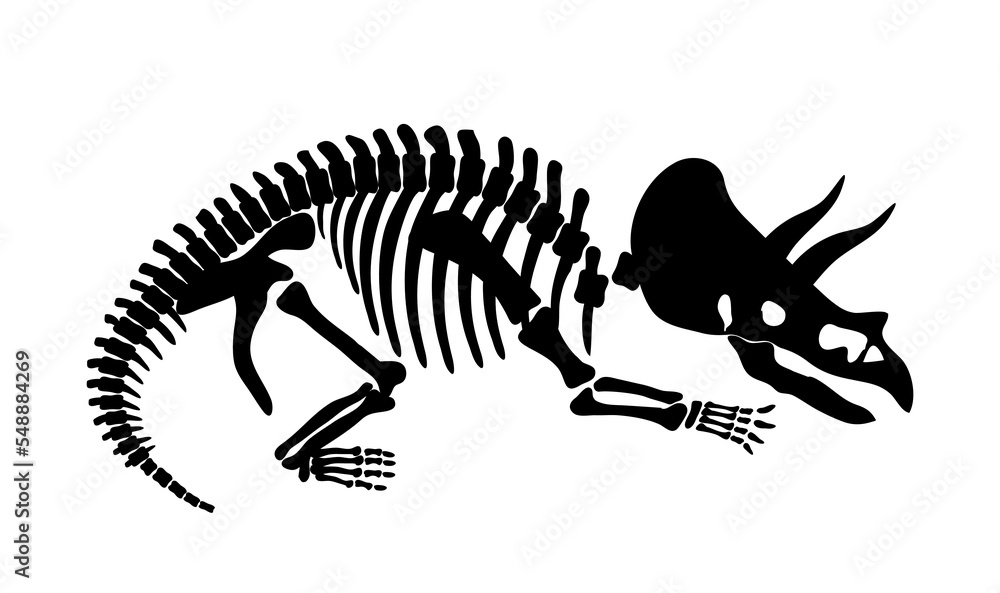 Obraz premium Dinosaur skeleton black. Graphic element for printing on fabric. Animal in minimalist style. Paleontology and archeology. Treasures and fossils, bones for museum. Cartoon flat vector illustration