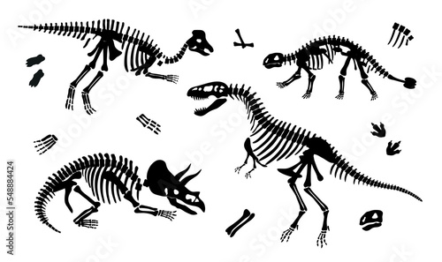 Dinosaurs skeletons black set. Archeology and paleontology  animals BC. Collection of silhouettes  graphic elements for website. Cartoon flat vector illustrations isolated on white background