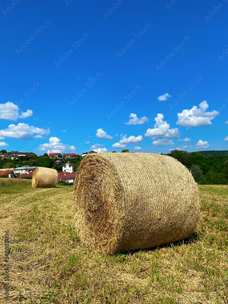 Hay bale stack on the field after harvest with blue sky