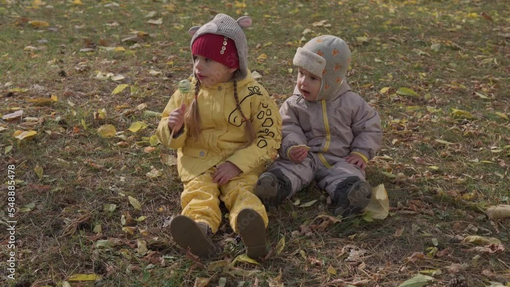 small cheerful Preschool child girl warm red hat eats licks large candy on stick. Kids eating sweets picnic outside.Yellow Fallen Leaves In Basket Cold Weather In Fall Park. Childhood, Family, Autumn small cheerful Preschool child girl warm red hat eats licks large candy on stick. Kids eating sweets picnic outside.Yellow Fallen Leaves In Basket Cold Weather In Fall Park. Childhood, Family, Autumn