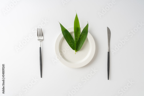 Plate, fork, knife and green leaf on white background