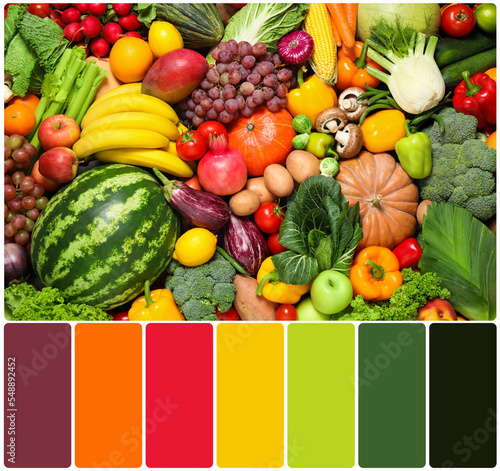 Fototapeta Naklejka Na Ścianę i Meble -  Assortment of organic fresh fruits and vegetables and color palette. Collage