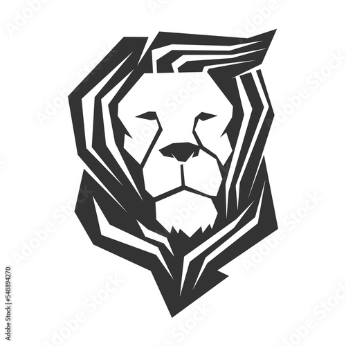 Fototapeta Naklejka Na Ścianę i Meble -  lion logo template Icon Illustration Brand Identity