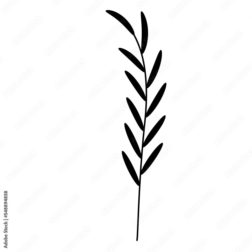 Floral leaf Floral leaf
