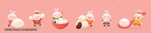 A set of cute rabbit characters or mascots with glutinous rice balls, Lantern Festival or Winter Solstice, delicious glutinous rice sweet food in Asia, playful and cute cartoon style