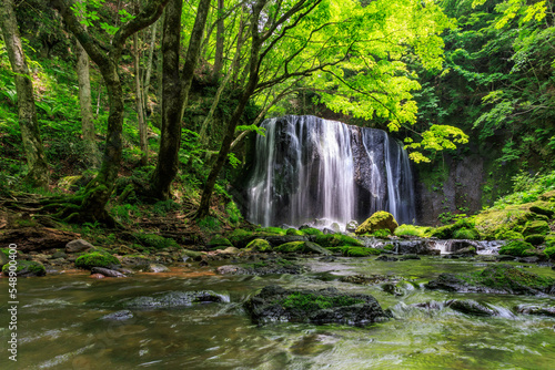 達沢不動滝
waterfall in the forest