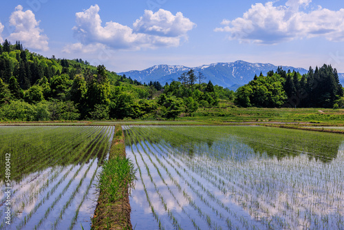 水田と山
country
