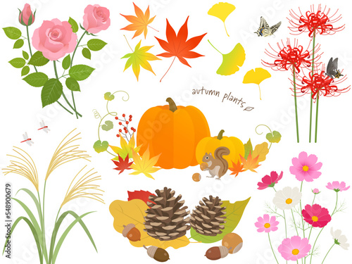 秋の紅葉と植物セット_ベクターイラスト