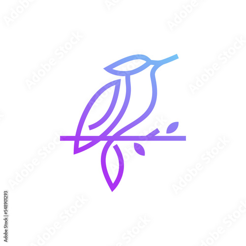 Colibri Gradient Logo Design