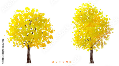 Vector watercolor blooming flower,Ginkgo tree or forest side view isolated on white background for landscape and architecture drawing,elements for environment
 and garden,botanical in autumn 