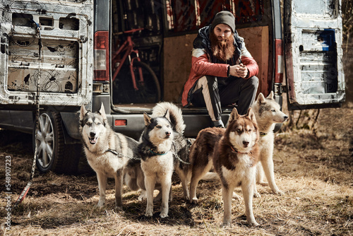 Bearded man sits in back of truck in front of four Siberian Husky dogs, dryland sled dog bikejoring team. Bearded man in black hat and jacket looks at his Husky dogs pets, Husky dog breeder portrait photo